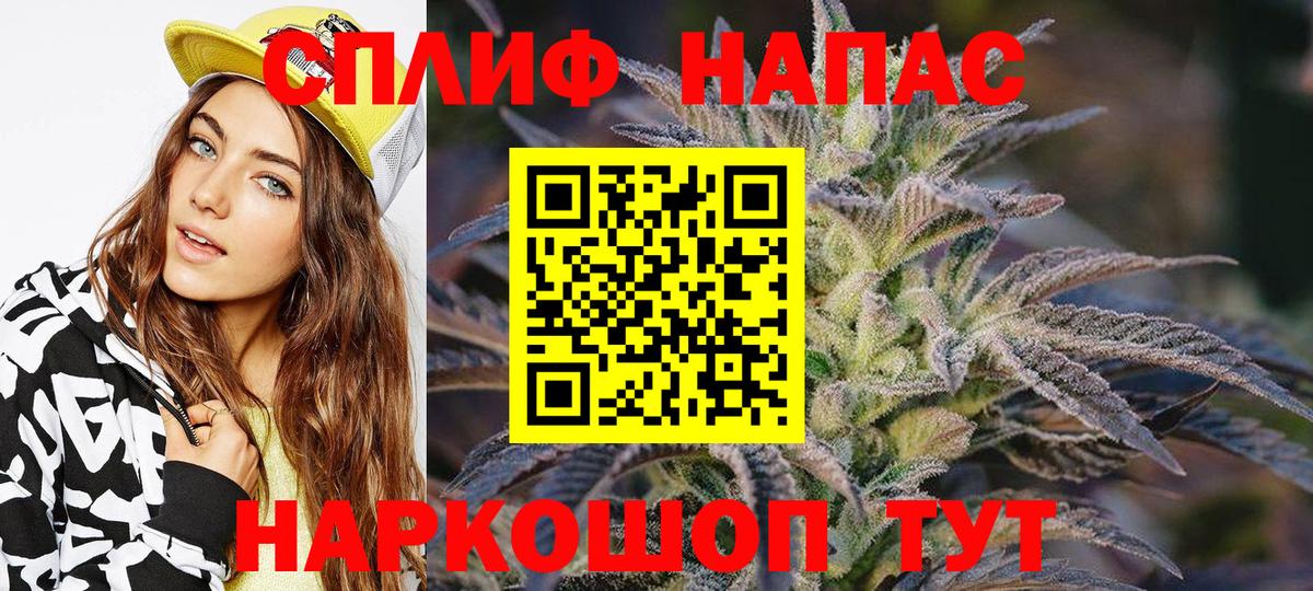 Бошки марихуана MAZAR Можга